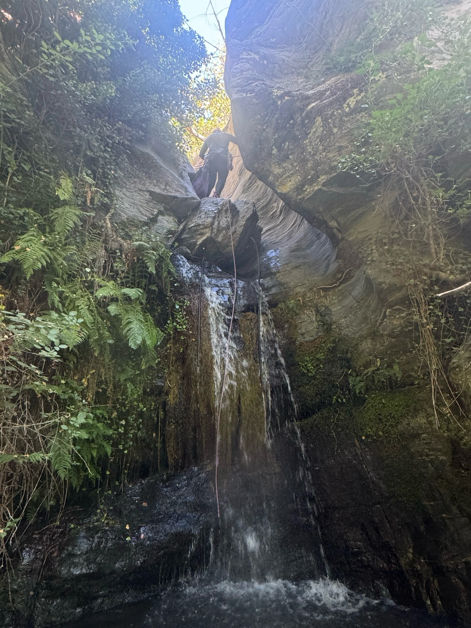 Barranco de Los Castaños