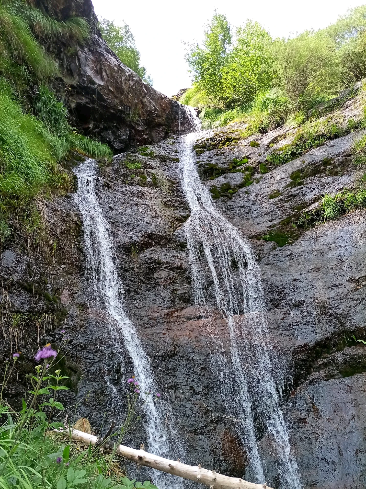 Flow report photo 2