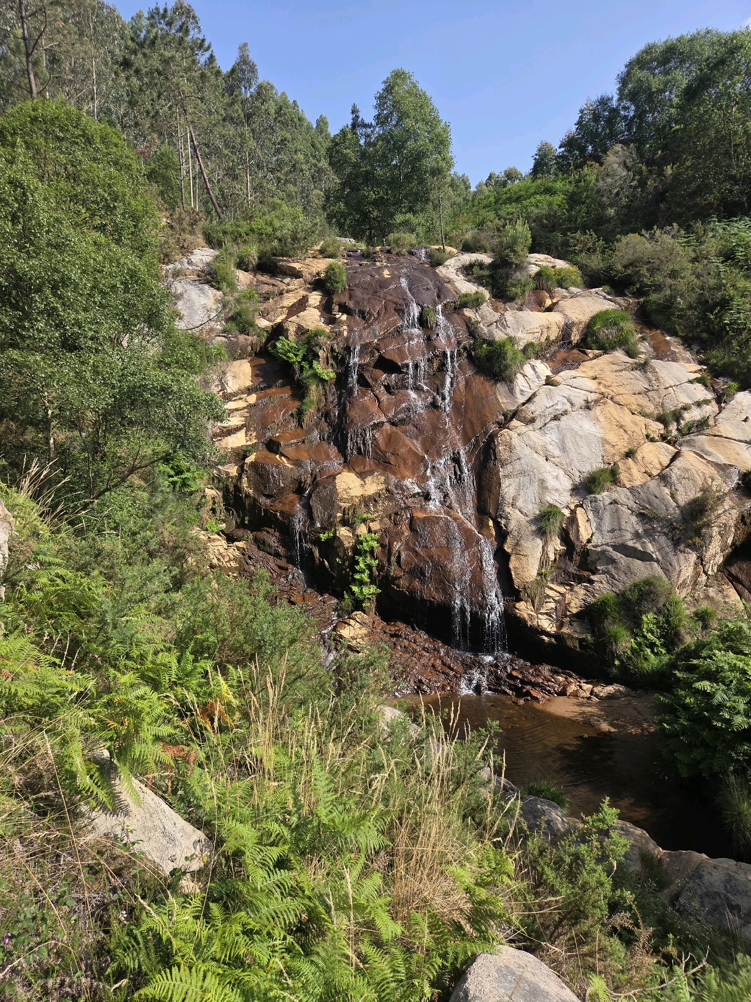 Flow report photo 1