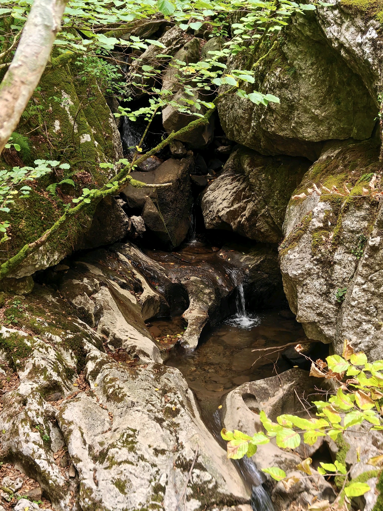 Cueva de la Leze