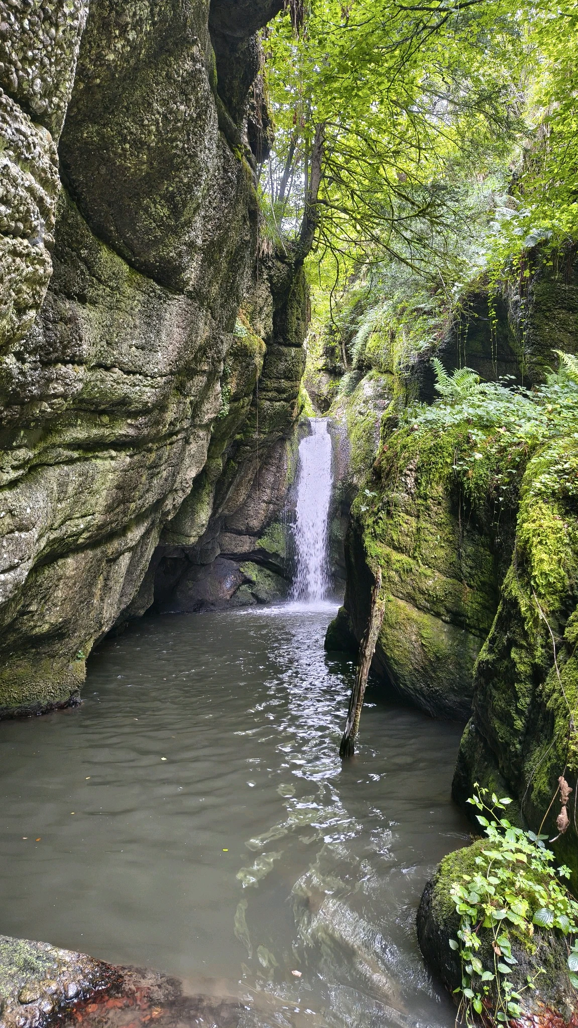 Flow report photo 1