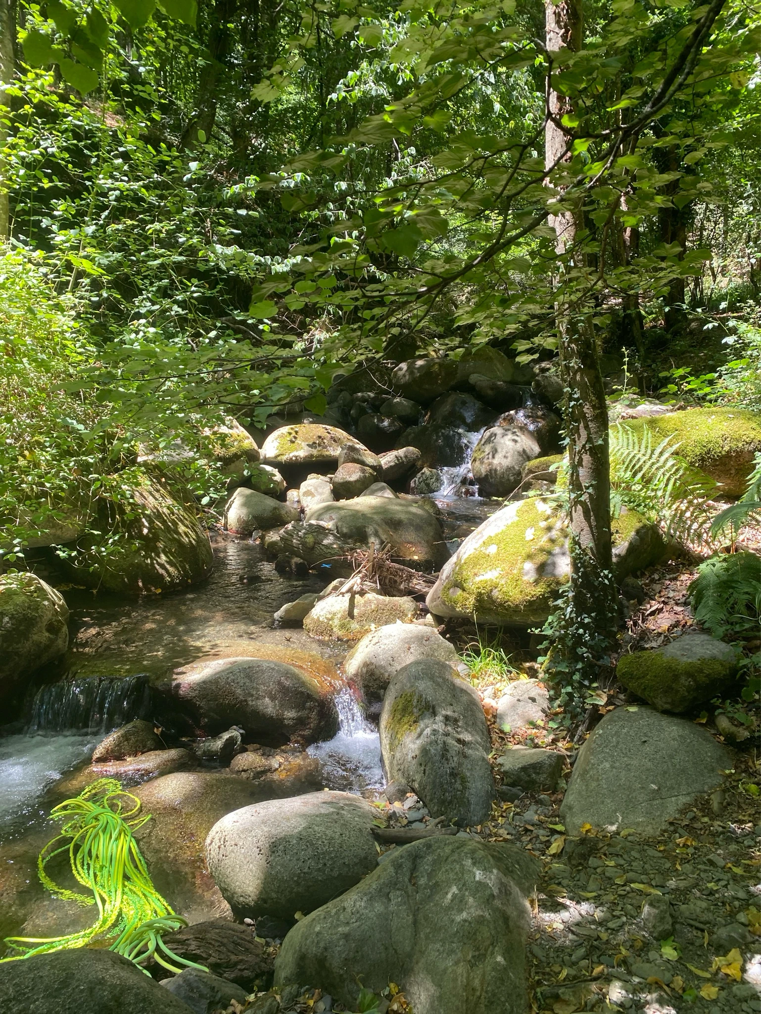 Flow report photo 1