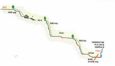 Torrent de Pla Traver - topografía 1