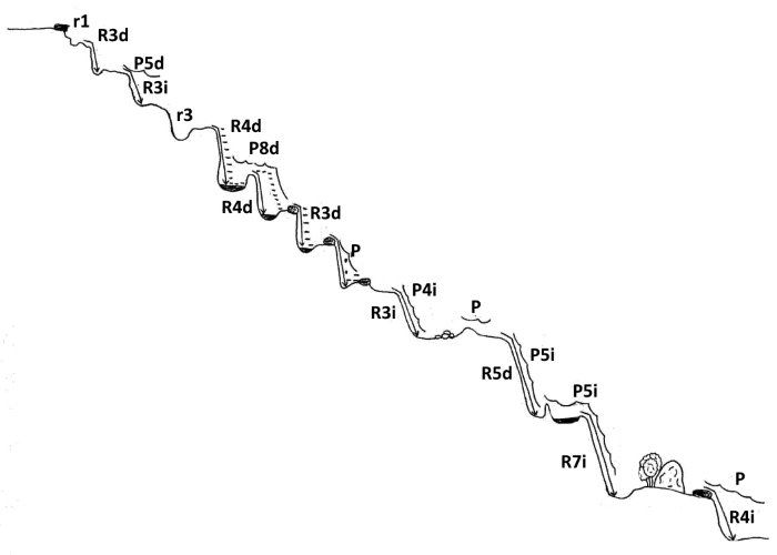 Barranco de les Raboses - topografía 1